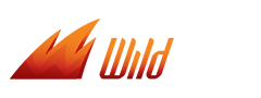 WildSlots